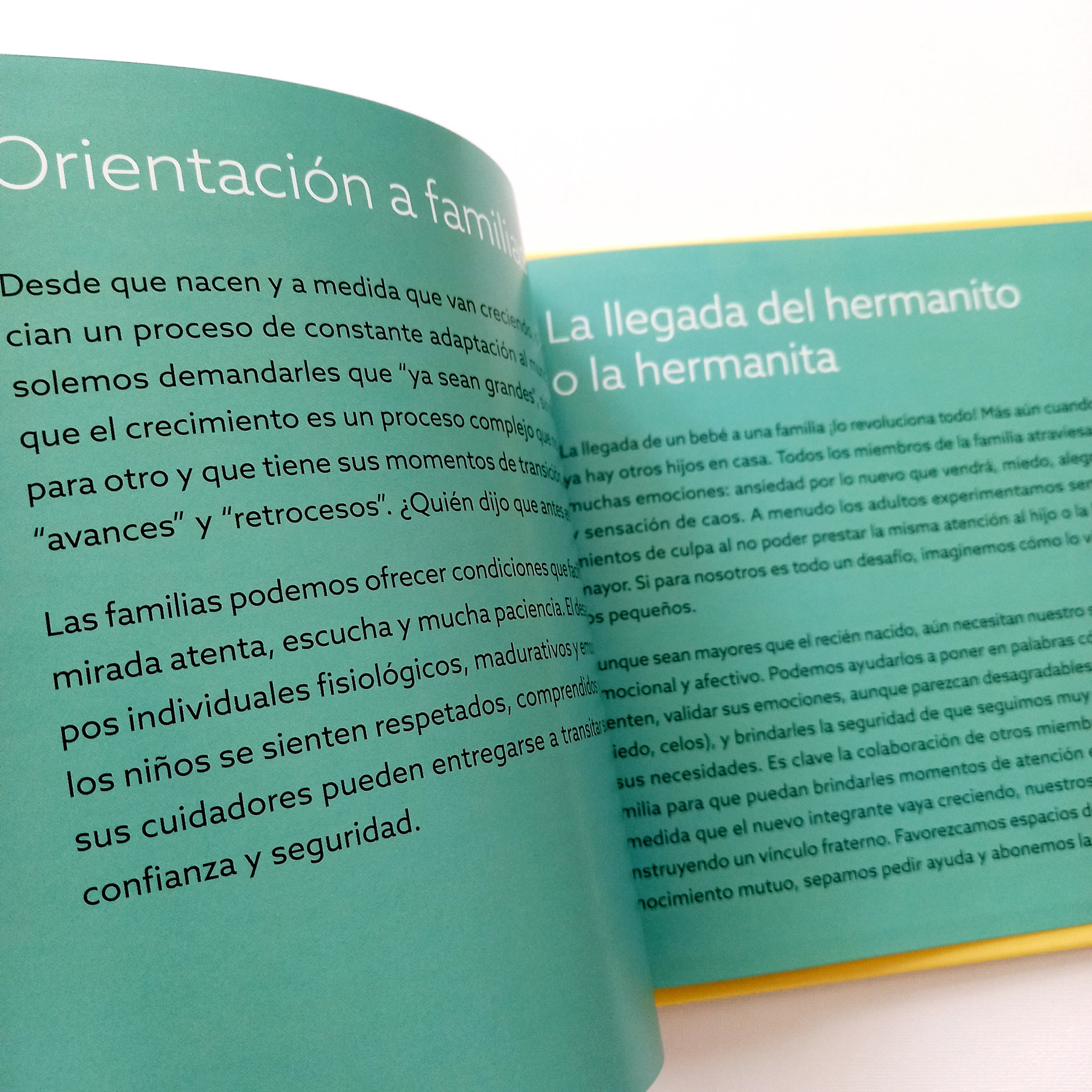 Voy a tener un hermanito Voy a tener un hermanito